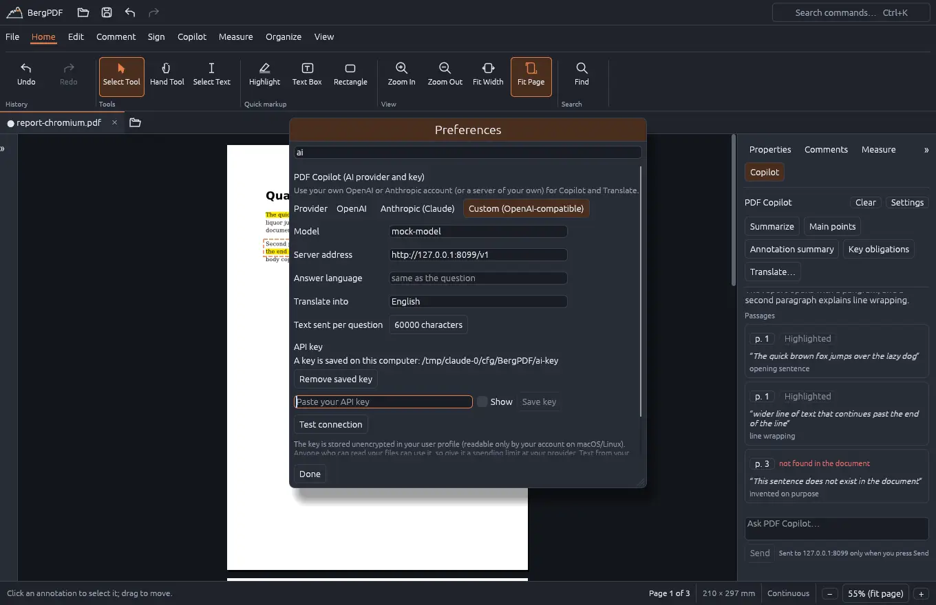 Preferences showing the AI provider, model and key settings